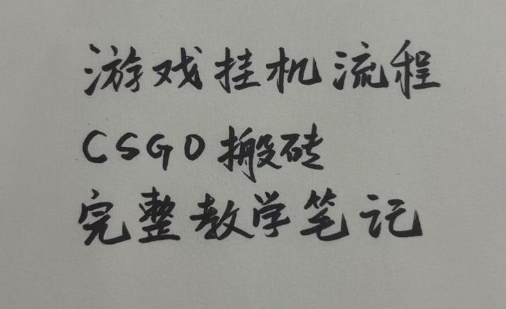 游戏挂G全流程笔记分享,CSGO游戏搬砖,小白看了当天学会见收益【揭秘】(指南)-元界资源网