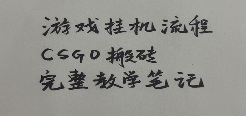 游戏挂机全流程笔记分享,CSGO游戏搬砖,小白看了当天学会见收益(合集)-元界资源网